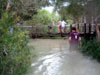 Ely Creek